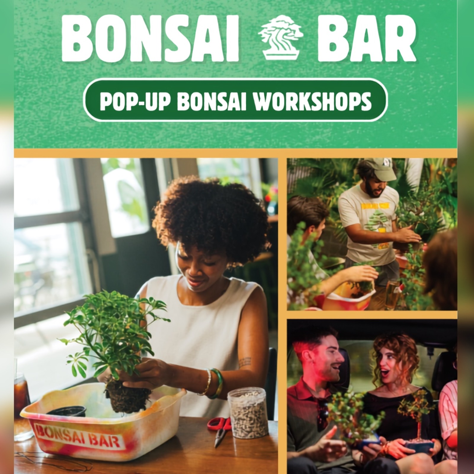 Bonsai Pop-Up Workshop
